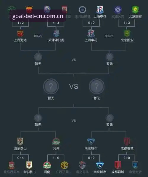 世界杯外围赛程查询实用指南：从足协禁足名单看赛事信息获取必备知识
